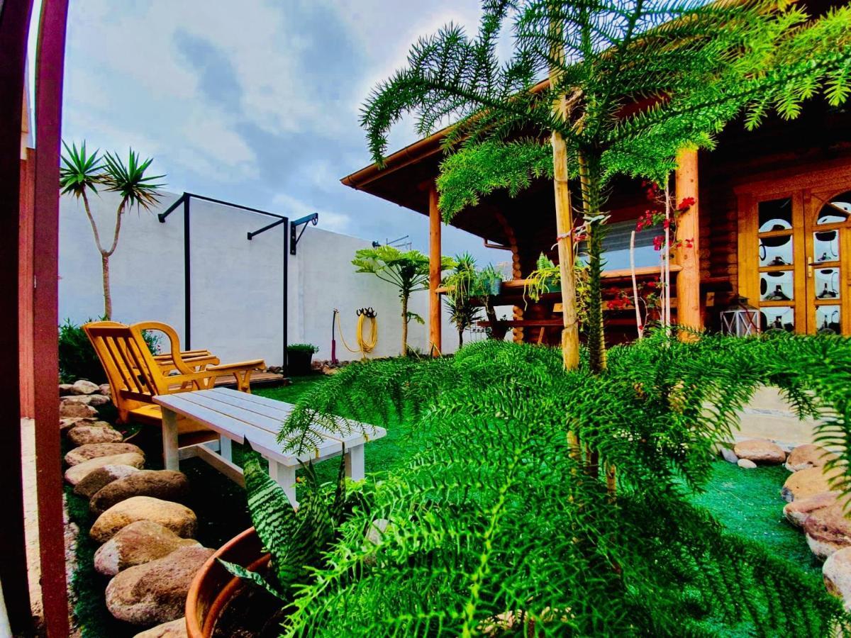 Wild House Ferienhaus