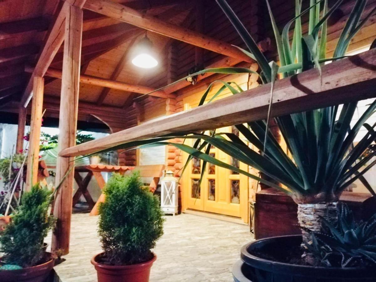 Wild House Las Palmas / Gran Canaria